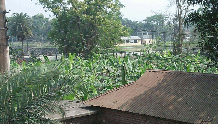 আব্দুল হামিদ স্টেডিয়ামসংলগ্ন বধ্যভূমি, গাইবান্ধা