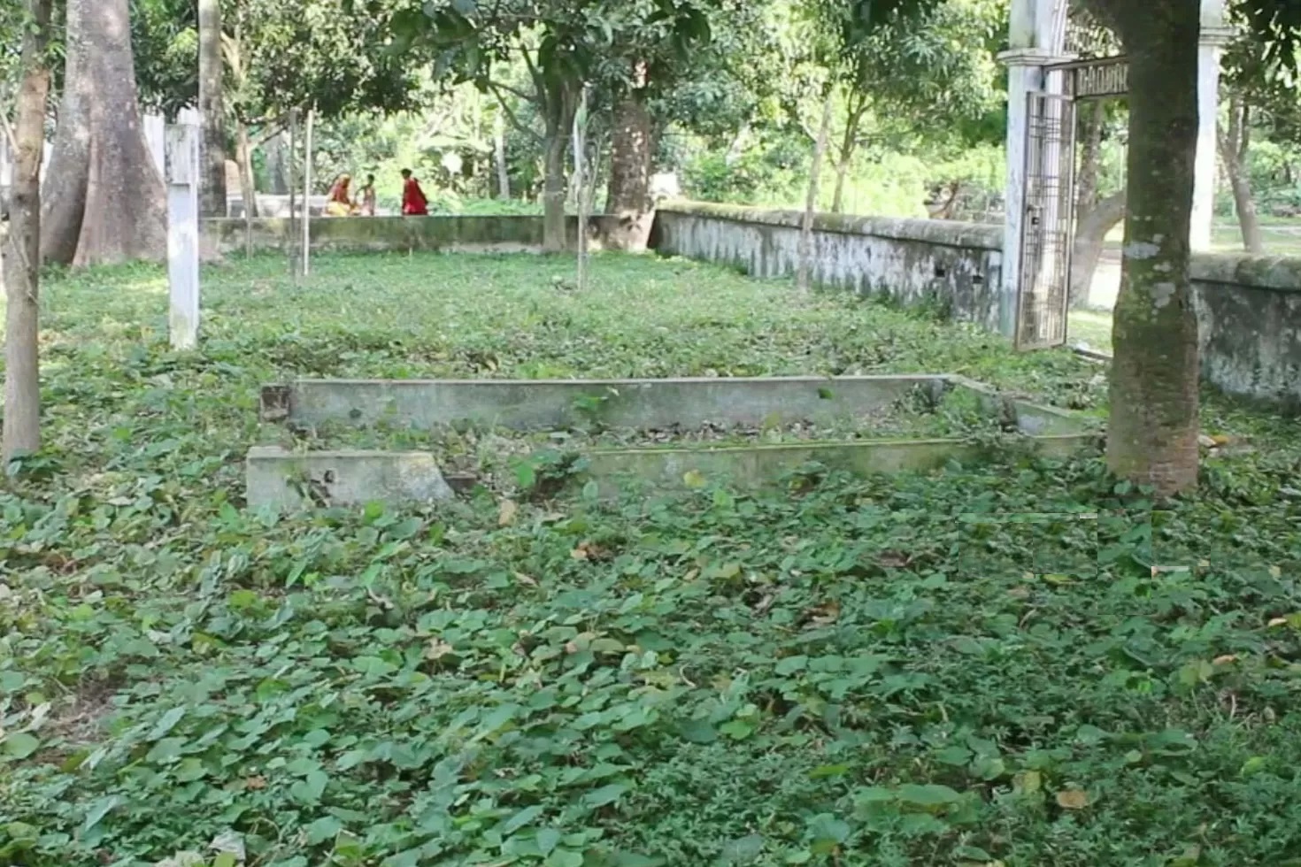 পাকুরিয়া বধ্যভূমি, নওগাঁ 