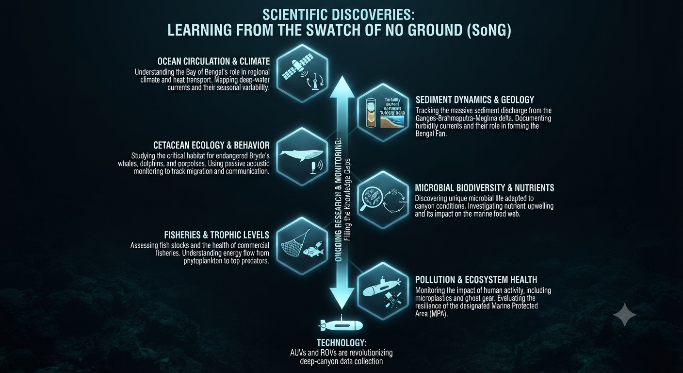 What scientists are learning from the Swatch of No Ground